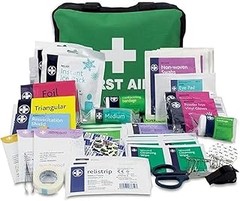 Opciones efectivas si no tienes un kit de emergencia para mascotas