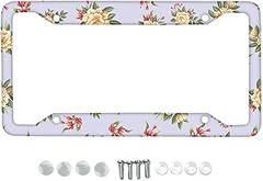 Reseñas de los mejores protectores de matrícula para tu coche