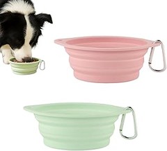 Guía para Seleccionar el Bebedero Portátil Ideal para Tu Mascota