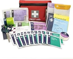 Precios de kits de emergencia para mascotas viajeras