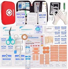 ¿Qué debe incluir un kit de emergencia para mascotas viajeras?