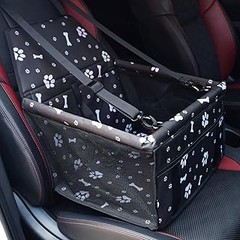 Evita estos errores al llevar a tus mascotas en el coche