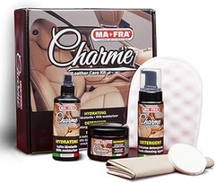 ¿Qué es un kit de limpieza y cuidado del cuero para coches?