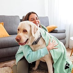 Comparativa de las mejores toallas y paños absorbentes para mascotas