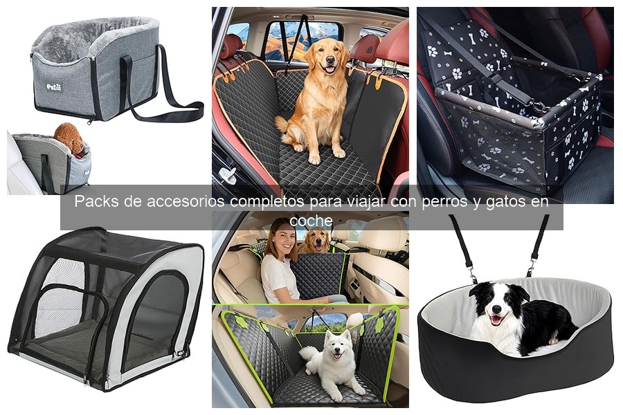 Accesorios esenciales para viajar con perros en el coche