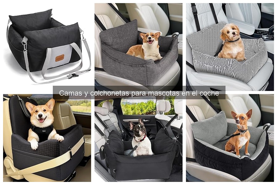 Alternativas a camas para mascotas en el coche: ¡descubre más!