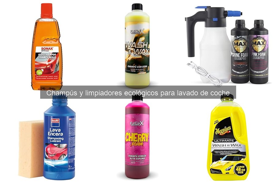 Alternativas a Champús Ecológicos para Lavado de Coche