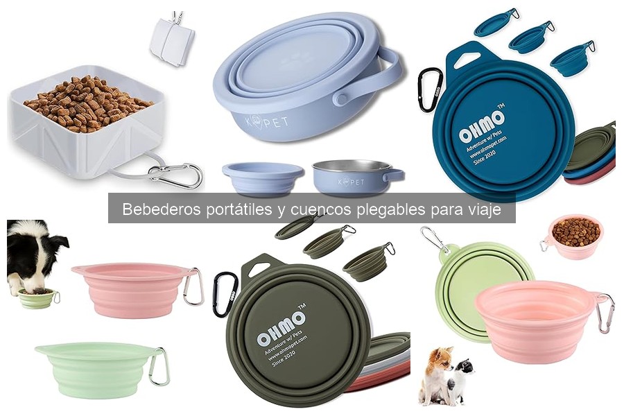 Alternativas a cuencos plegables para perros en viajes