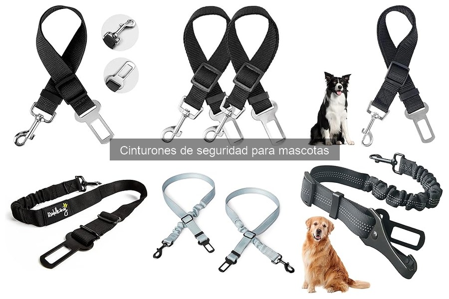 Alternativas a los cinturones de seguridad para mascotas