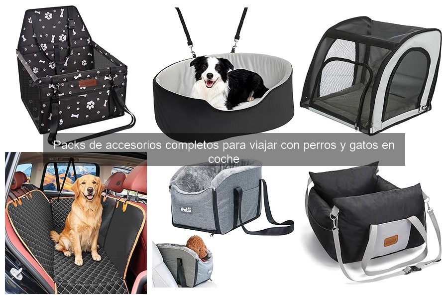 Alternativas a los pads de viaje para mascotas en el coche