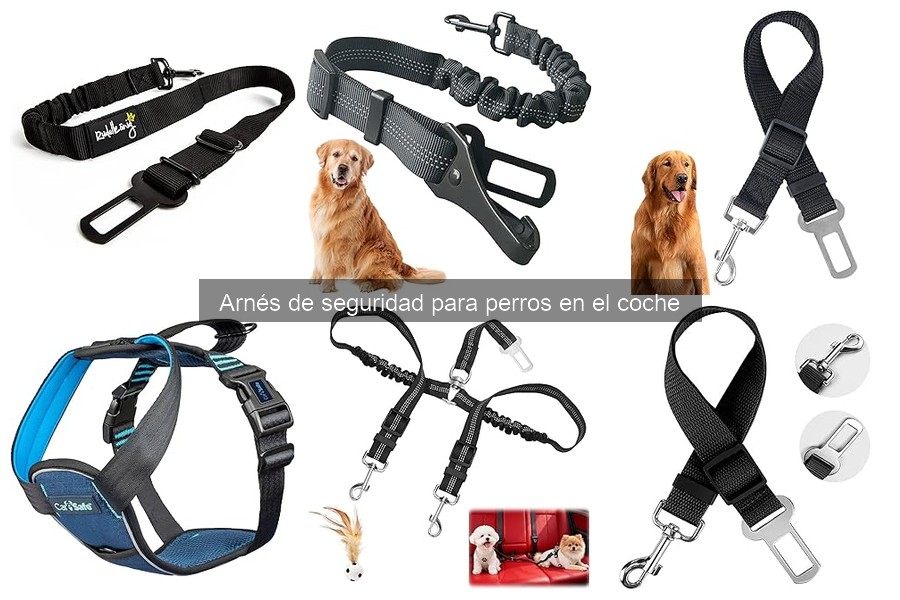 Alternativas al arnés de seguridad para perros en el coche