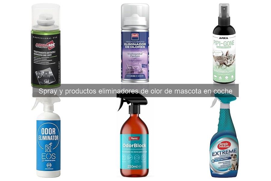 Alternativas Naturales para Eliminar Olores de Mascotas en Coche