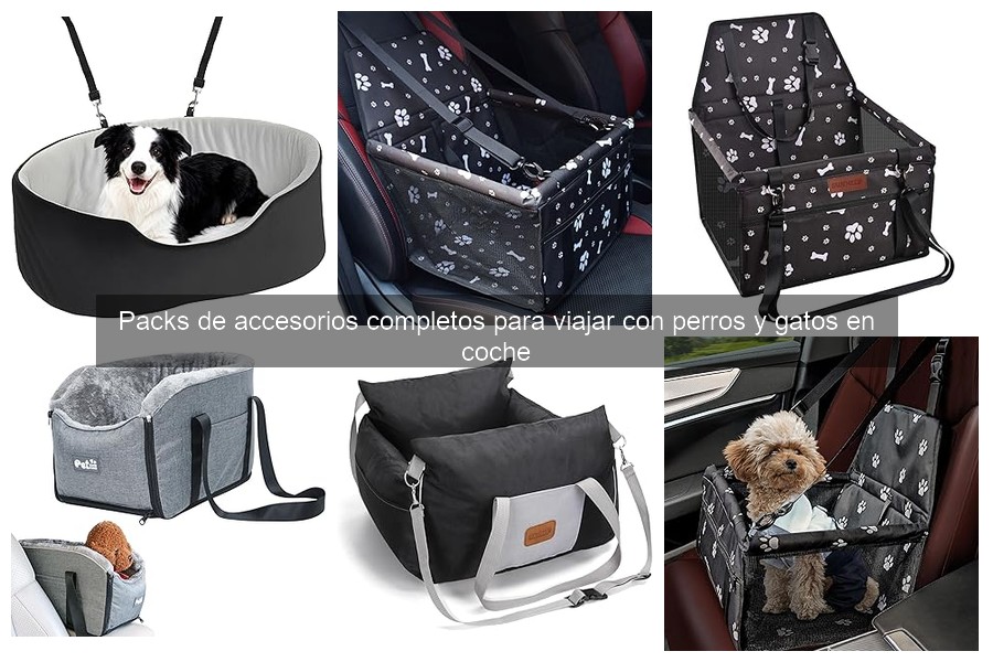 Aspectos clave para elegir un transportín para mascotas