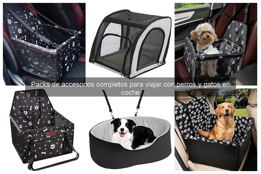 Beneficios de usar un separador en el coche para mascotas