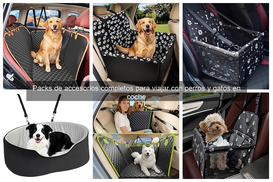 Cómo Acostumbrar a tu Mascota a Viajar en Coche