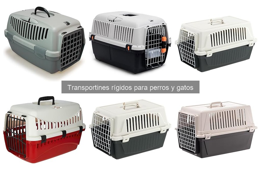 Cómo acostumbrar a tu mascota al transportín rígido