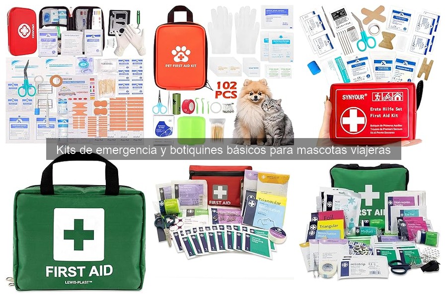 Cómo actualizar el kit de emergencia para mascotas viajeras