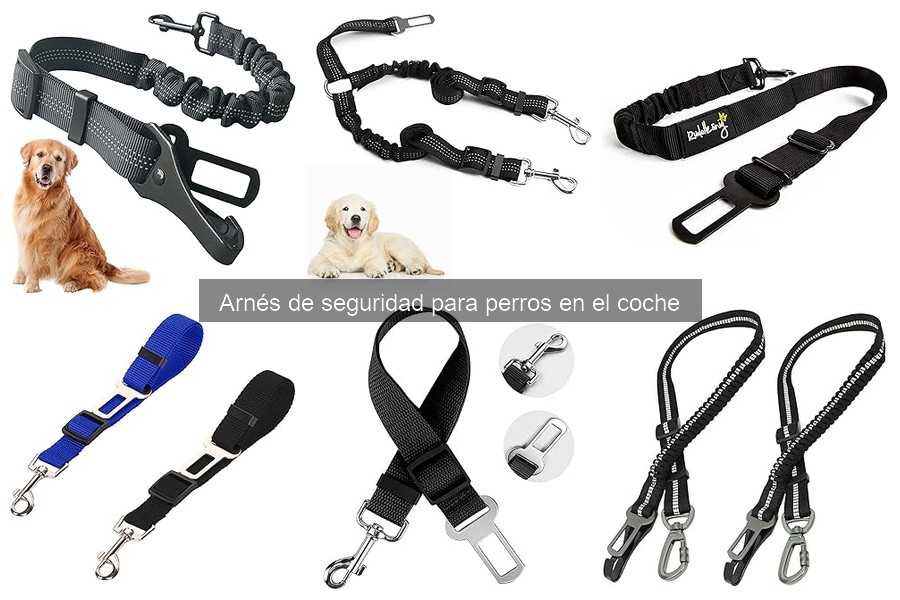 Cómo ajustar correctamente el arnés de seguridad para perros