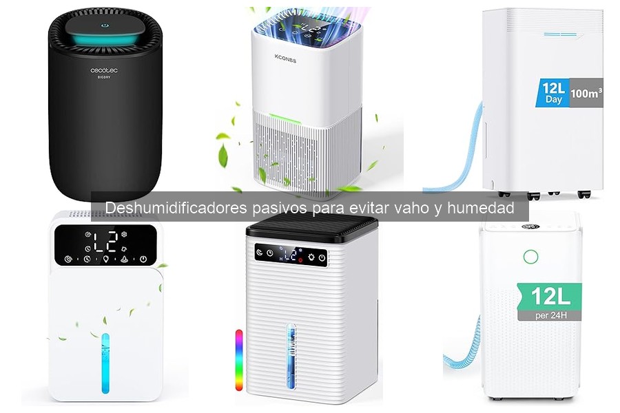 Cómo elegir el mejor deshumidificador pasivo para tu coche