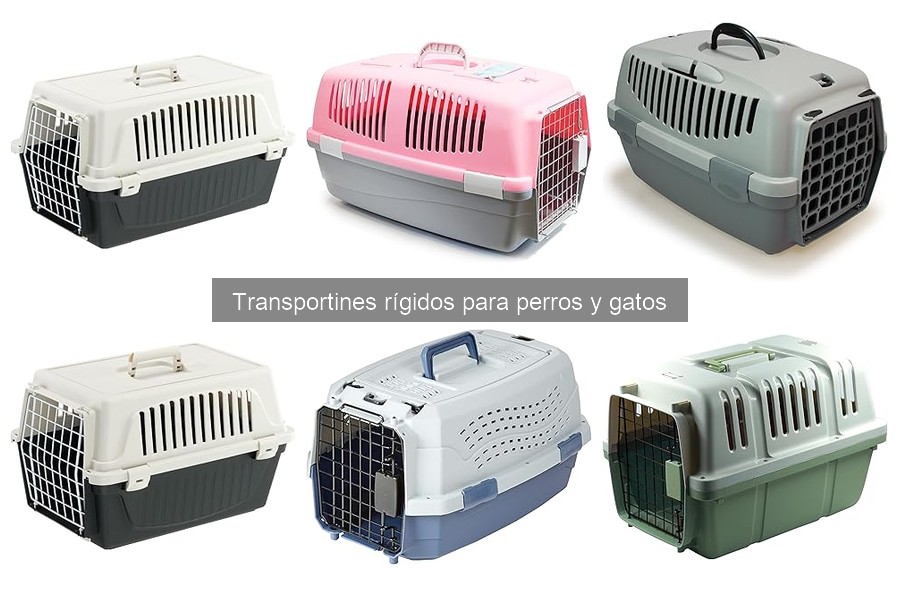 Cómo elegir el transportín rígido adecuado para tu mascota