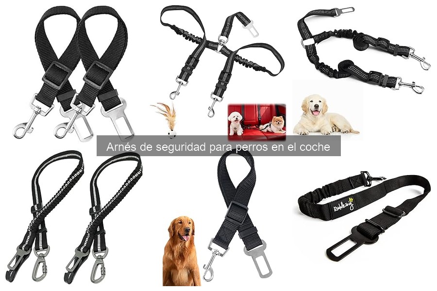 Cómo instalar un arnés de seguridad para perros en el coche