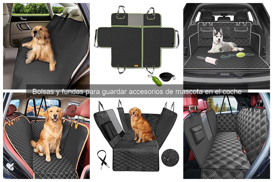 Cómo instalar una funda para mascota en el coche correctamente