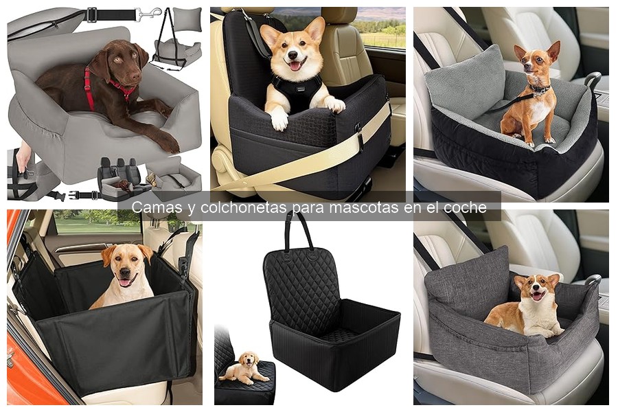 Cómo limpiar y mantener colchonetas para mascotas en el coche