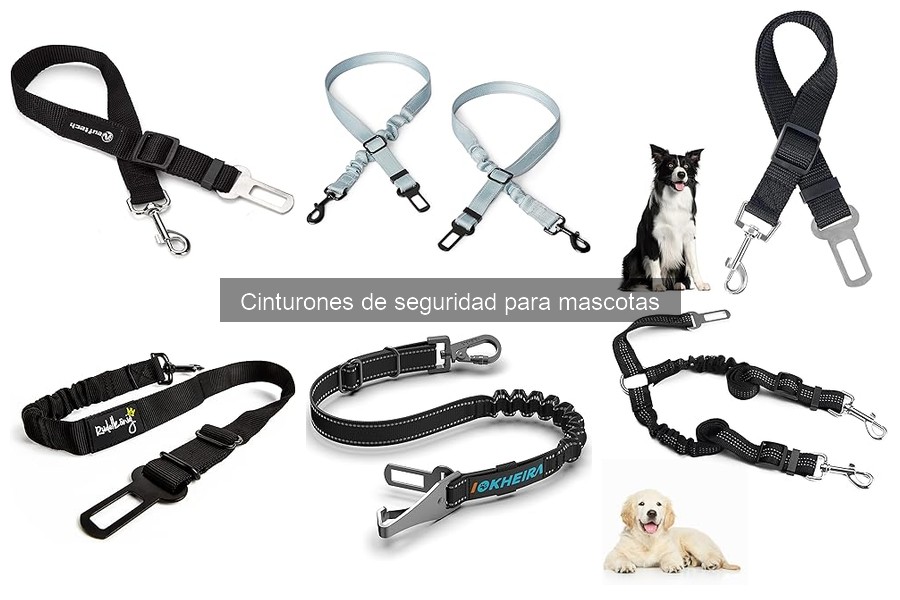 Cómo mantener cinturones de seguridad para mascotas en perfecto estado