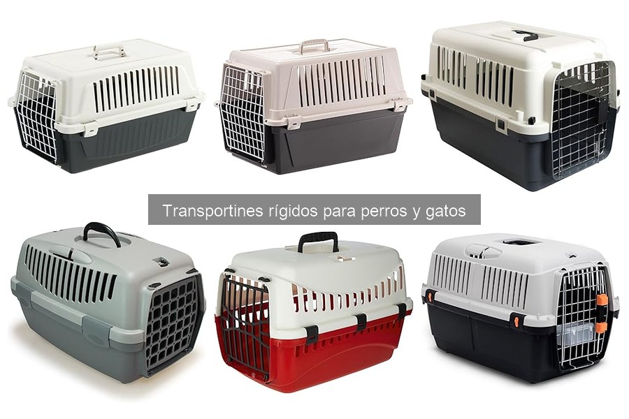 Cómo montar un transportín rígido para perros y gatos