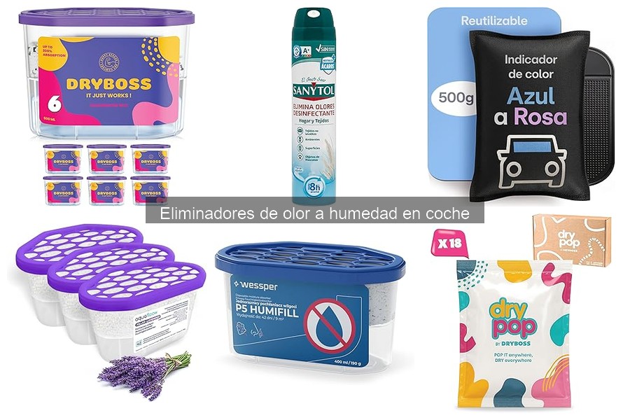Cómo Prevenir Olores a Humedad en tu Coche Eficazmente