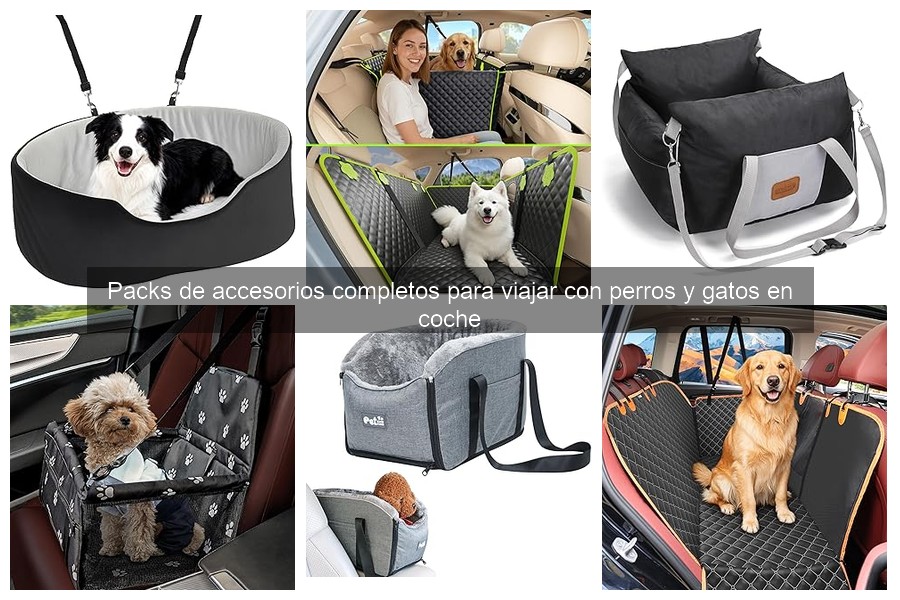 Cómo usar compartimentos y protectores de maletero para mascotas