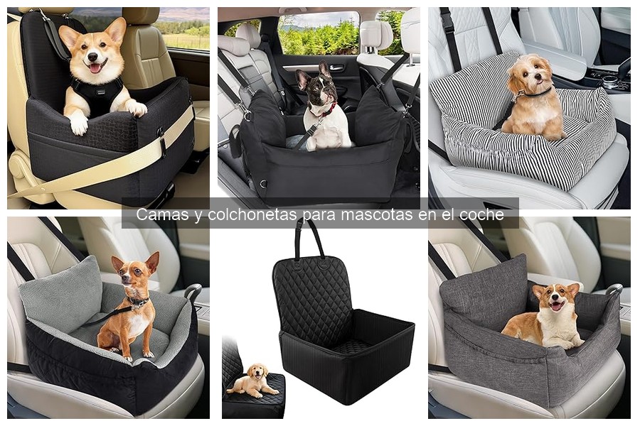 Comparativa: Camas vs Colchonetas para Mascotas en el Coche