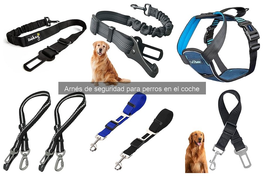 Comparativa de arneses de seguridad para perros en el coche