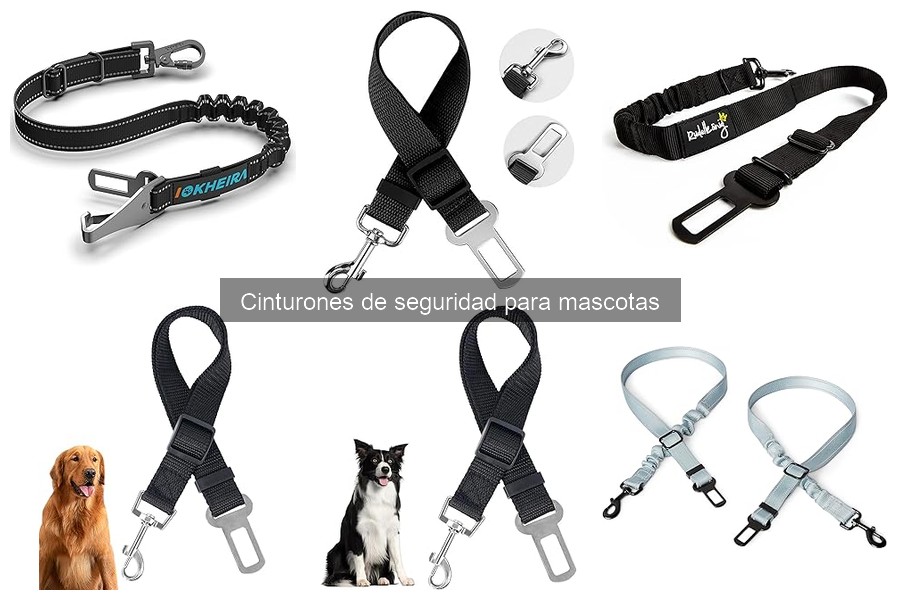 Comparativa de cinturones de seguridad para gatos: Mejor opción
