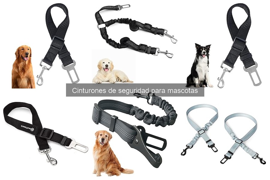 Comparativa de cinturones de seguridad para mascotas en 2023