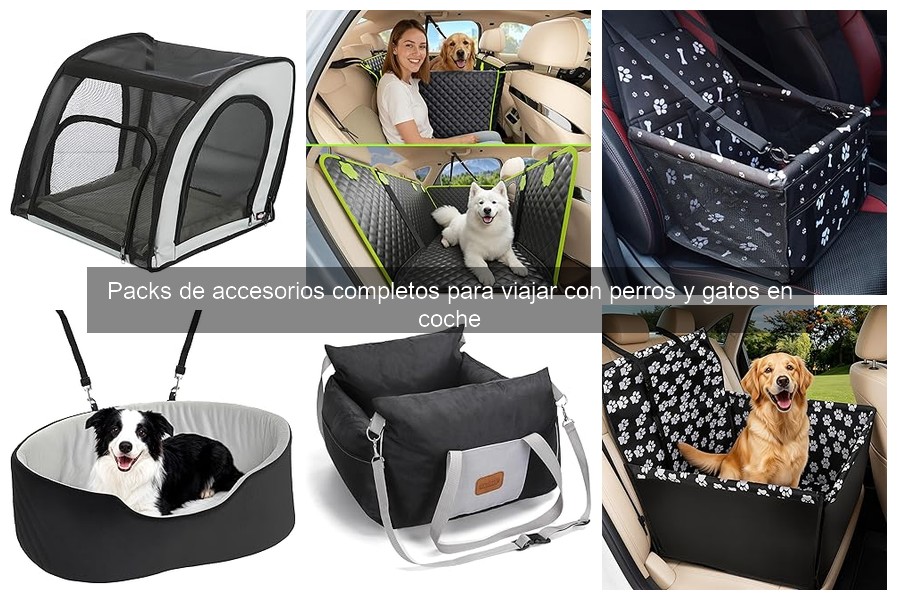 Comparativa de Cinturones de Seguridad para Mascotas en Coche