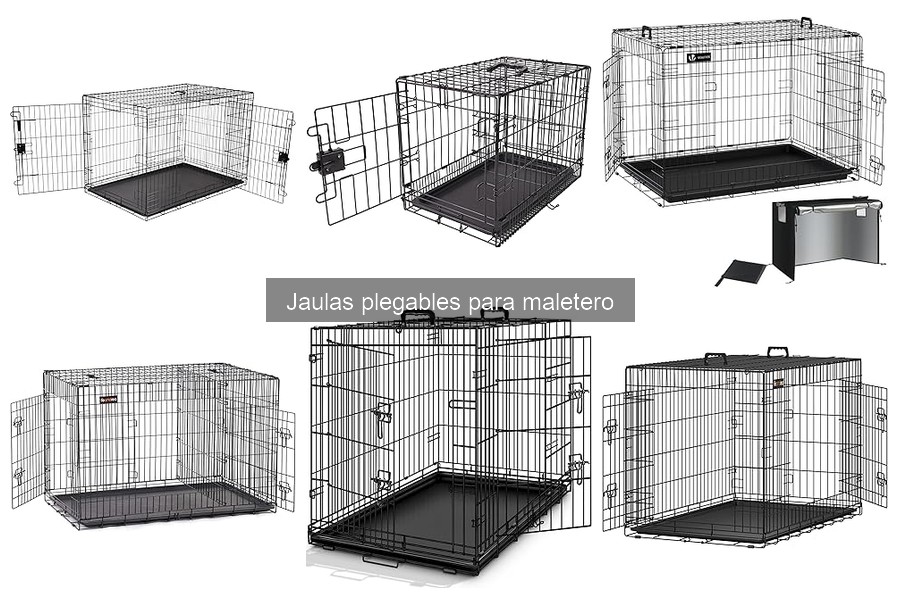 Comparativa: Jaulas Plegables vs Organizadores de Maletero