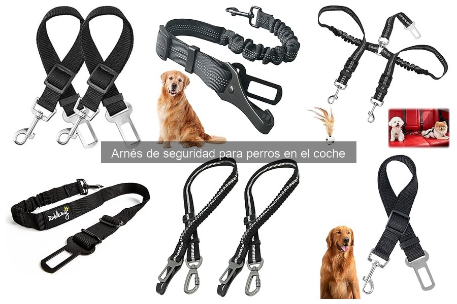 Consejos para Acostumbrar a tu Perro al Arnés de Seguridad en el Coche