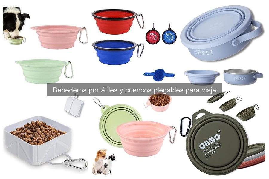Consejos para Elegir el Mejor Bebedero Portátil para Mascotas