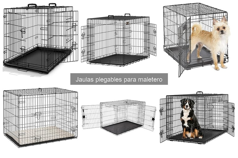 Descubre los Tipos de Jaulas Plegables para Maletero