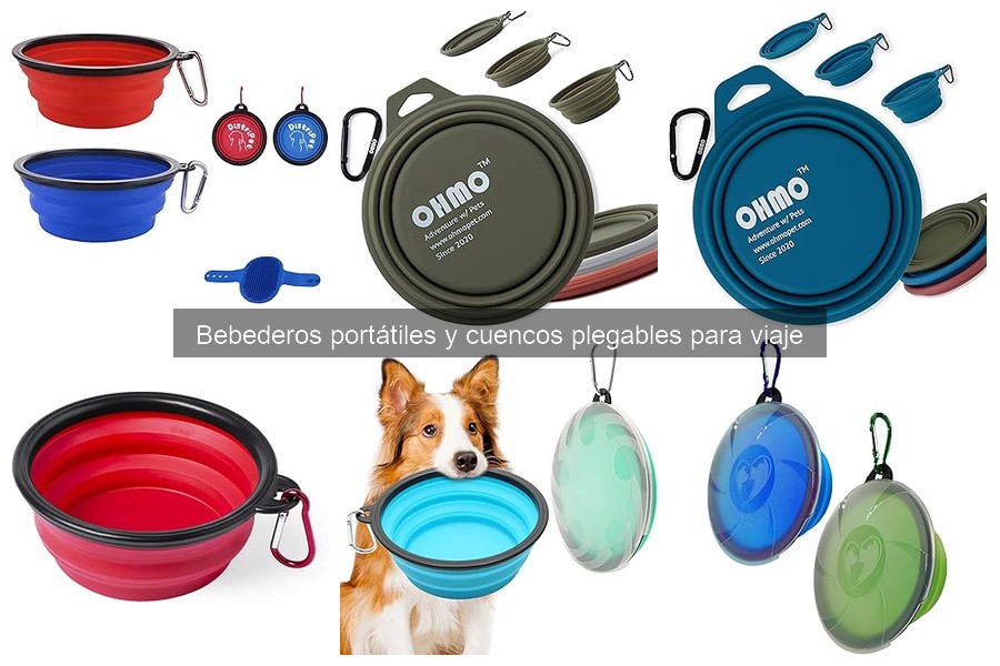 Descubre qué son los bebederos portátiles para perros