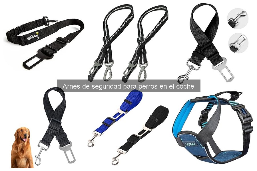 Dónde comprar arneses de seguridad para perros y precios
