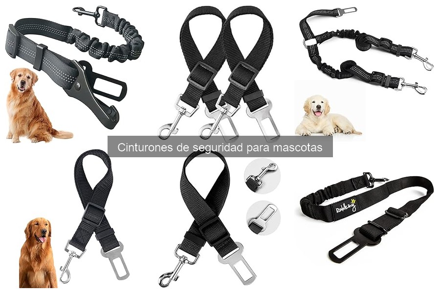 Dónde comprar cinturones de seguridad para mascotas baratos