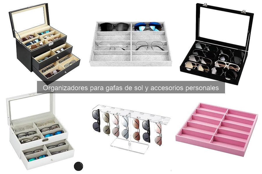 Dónde comprar organizadores para gafas de sol: Mejores opciones