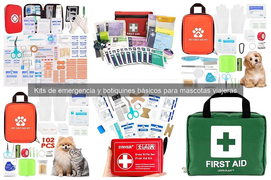 Elementos clave en un kit de emergencia para mascotas viajeras