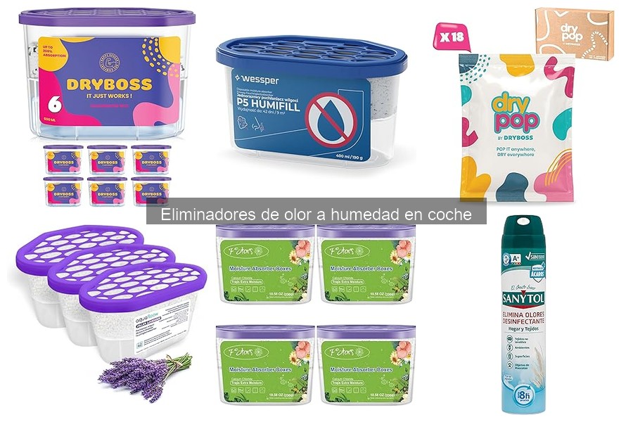 Eliminadores de olor a humedad en coches: ¿Qué son y cómo funcionan?
