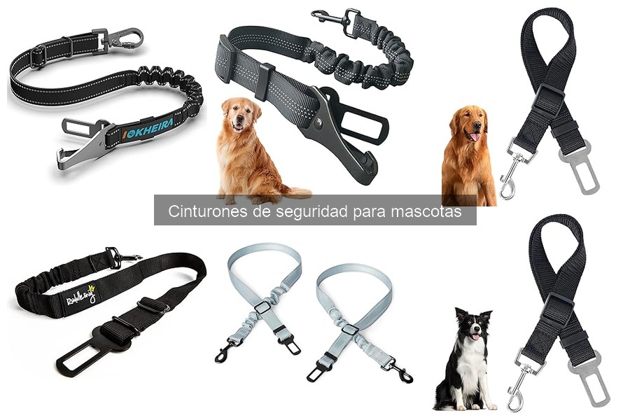 Errores comunes al elegir cinturones de seguridad para mascotas