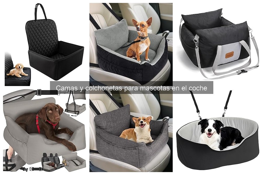 Errores comunes al usar camas para mascotas en el coche