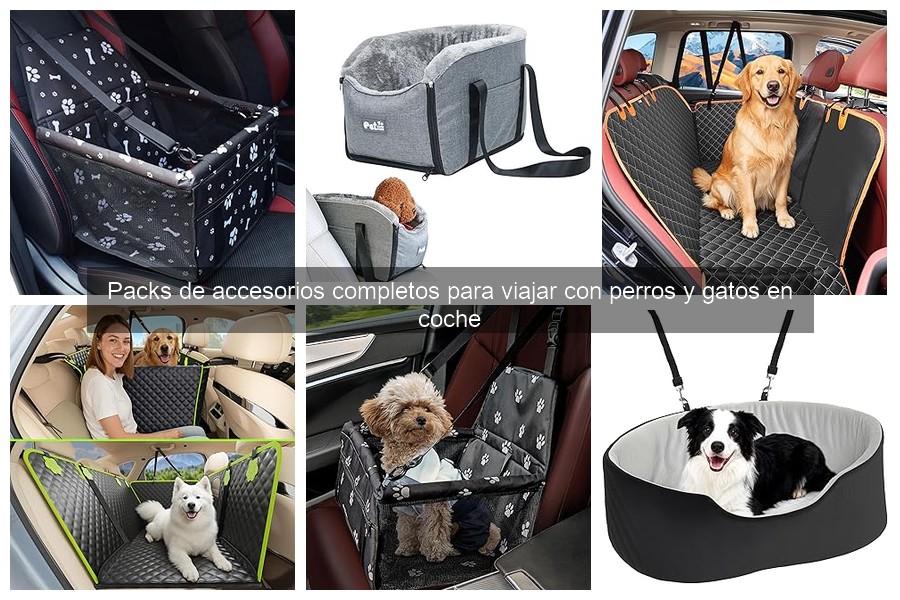 Errores comunes al viajar en coche con mascotas