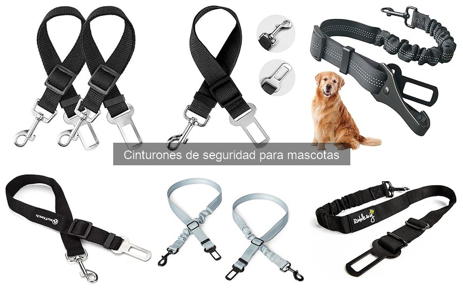 Errores comunes en cinturones de seguridad para mascotas